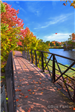 Mill Pond Park Bridge during fall