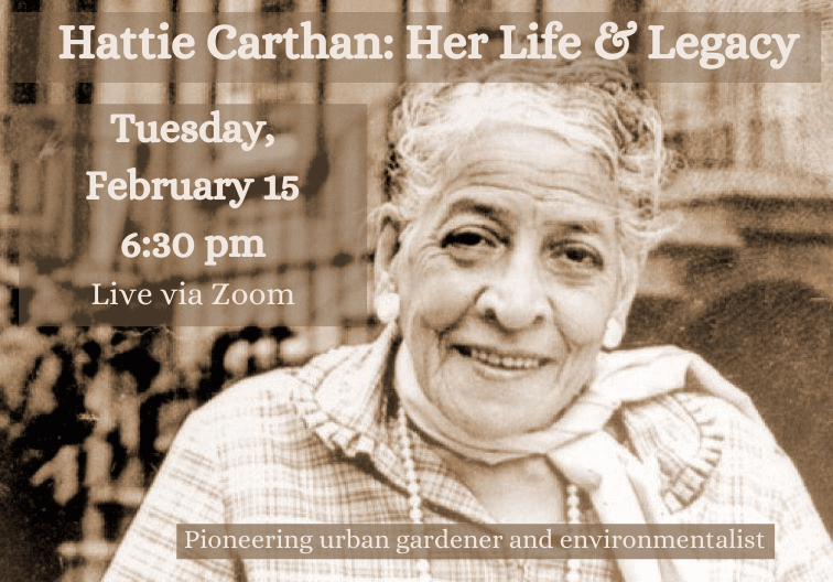 hattie Carthan newsflash