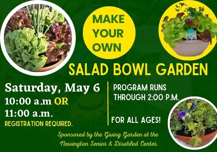 Make your own salad bowl newsflash 