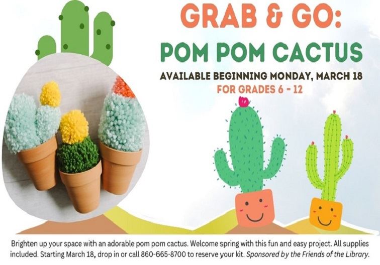 TEEN Grab and Go Pom Pom Cactus