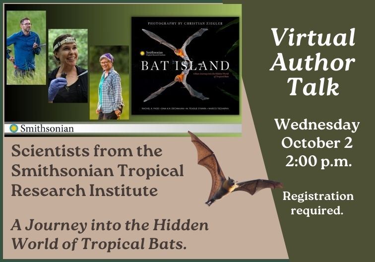 Bat Island Newsflash